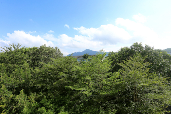 AP0A7971副本.jpg