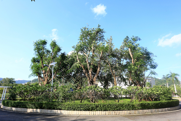 AP0A8075副本.jpg