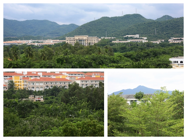 拼图1.jpg 拼图1.jpg